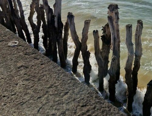 GRV – Rénovation Promenade du Sillon – Saint-Malo (35)